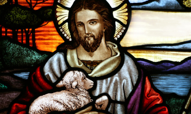 IV Domingo de Pascua – Jesucristo es el buen pastor que defiende a sus ovejas