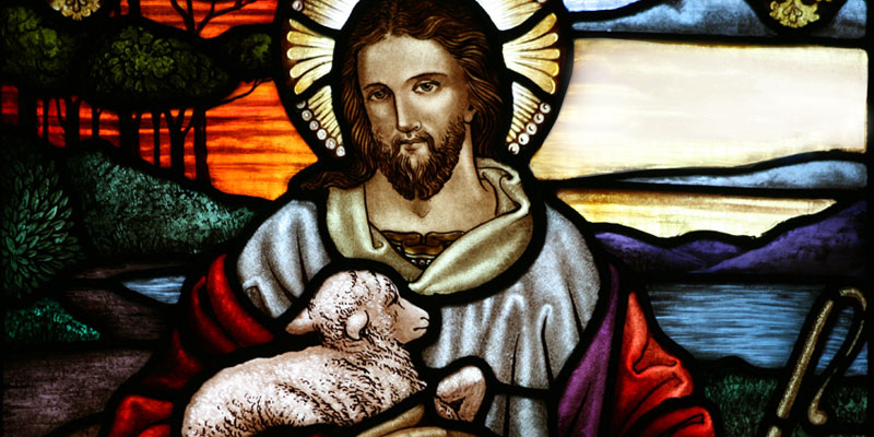jesus pastor de ovejas