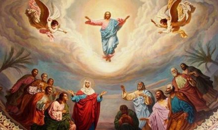 VII Domingo de Pascua – La ascensión del Señor